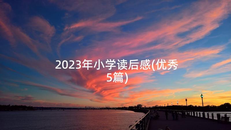 2023年小学读后感(优秀5篇)