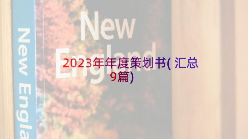 2023年年度策划书(汇总9篇)