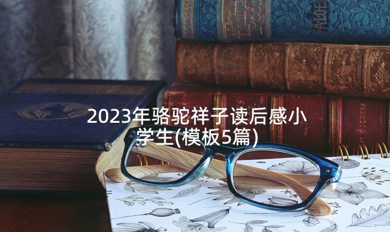 2023年骆驼祥子读后感小学生(模板5篇)