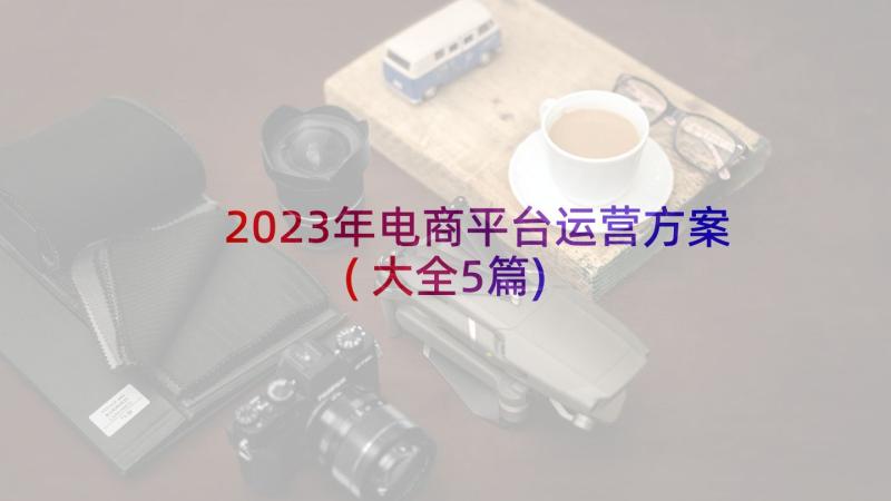 2023年电商平台运营方案(大全5篇)