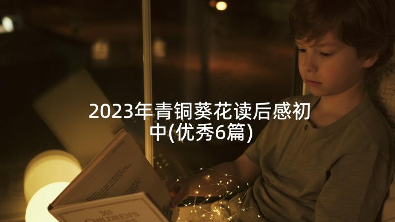 2023年青铜葵花读后感初中(优秀6篇)