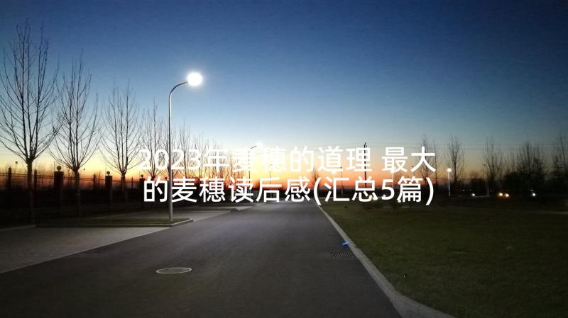 2023年麦穗的道理 最大的麦穗读后感(汇总5篇)