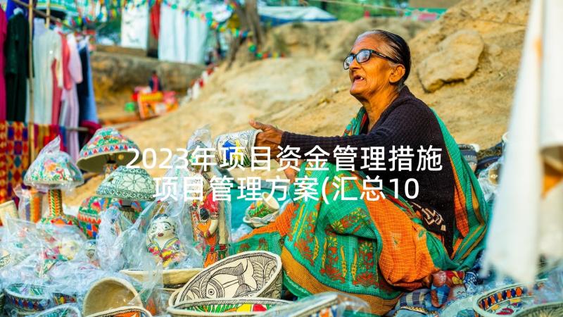 2023年项目资金管理措施 项目管理方案(汇总10篇)