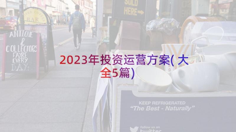 2023年投资运营方案(大全5篇)