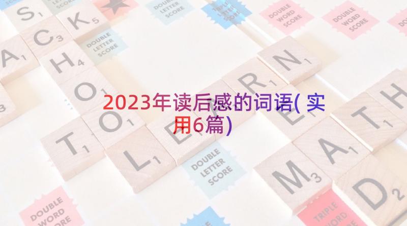 2023年读后感的词语(实用6篇)