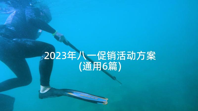 2023年八一促销活动方案(通用6篇)