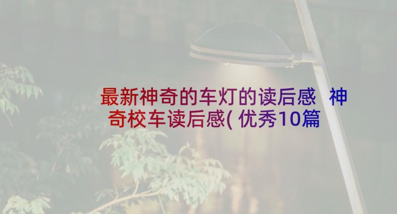 最新神奇的车灯的读后感 神奇校车读后感(优秀10篇)