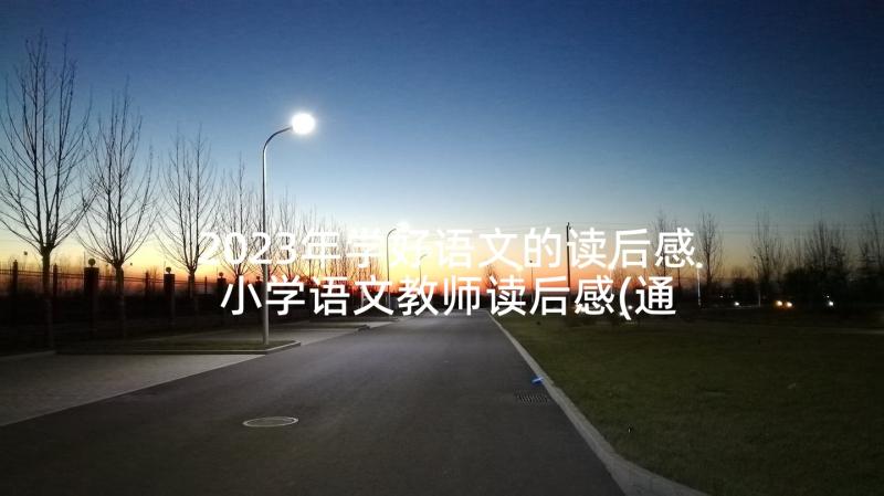 2023年学好语文的读后感 小学语文教师读后感(通用8篇)