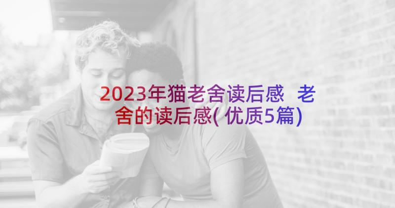 2023年猫老舍读后感 老舍的读后感(优质5篇)