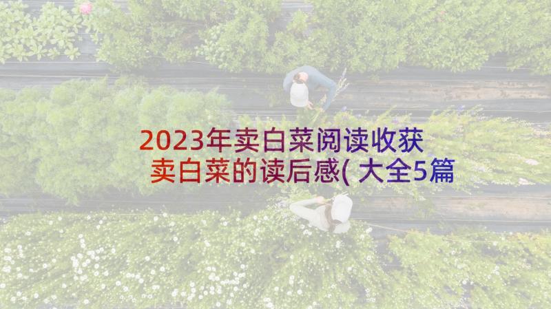 2023年卖白菜阅读收获 卖白菜的读后感(大全5篇)