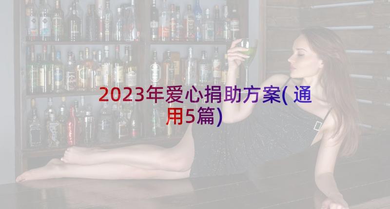 2023年爱心捐助方案(通用5篇)