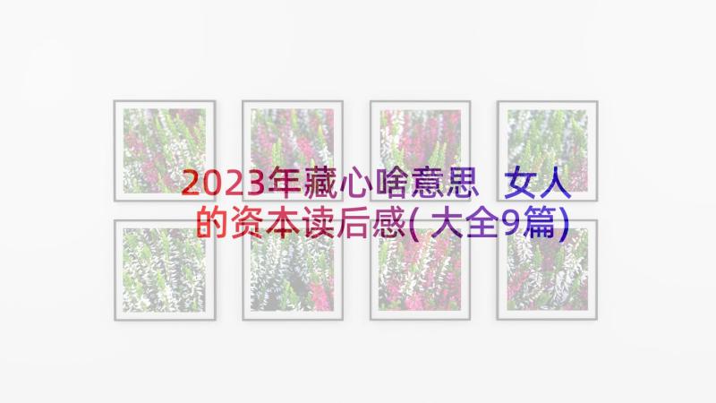 2023年藏心啥意思 女人的资本读后感(大全9篇)