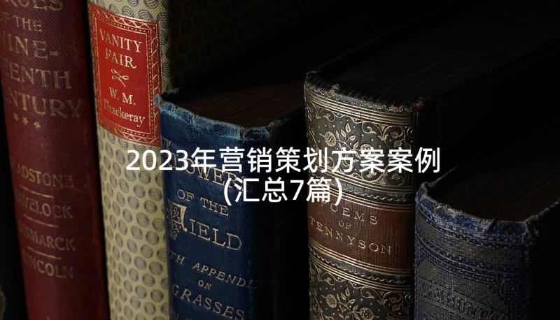 2023年营销策划方案案例(汇总7篇)