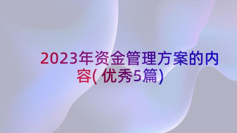 2023年资金管理方案的内容(优秀5篇)