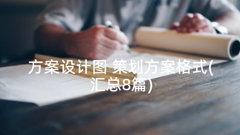 方案设计图 策划方案格式(汇总8篇)