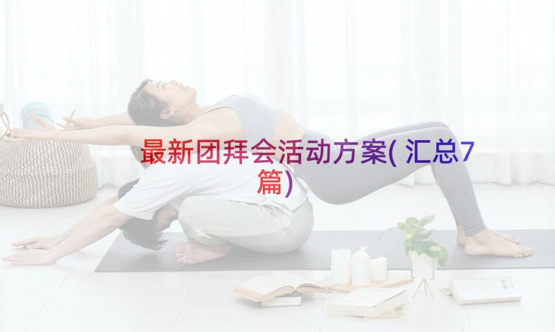 最新团拜会活动方案(汇总7篇)