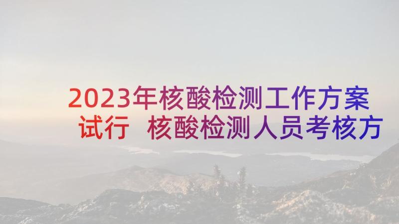 2023年核酸检测工作方案试行 核酸检测人员考核方案(汇总5篇)