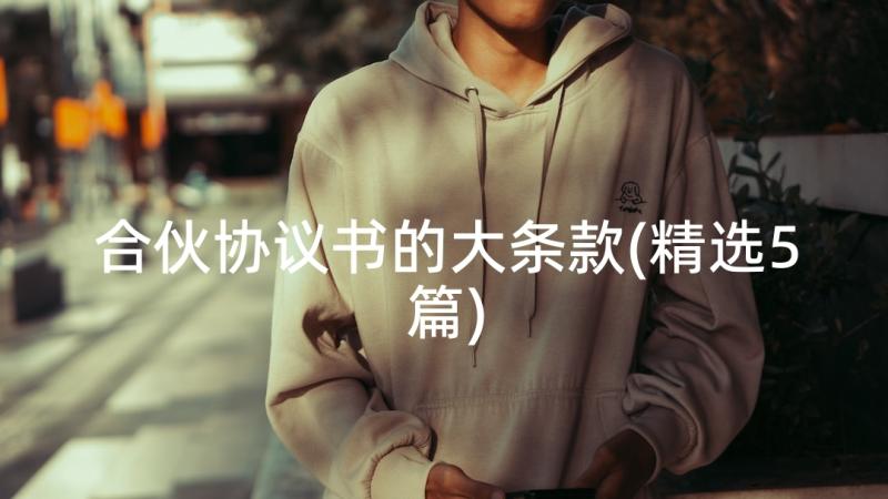 合伙协议书的大条款(精选5篇)