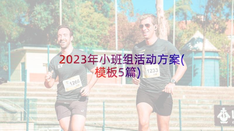 2023年小班组活动方案(模板5篇)