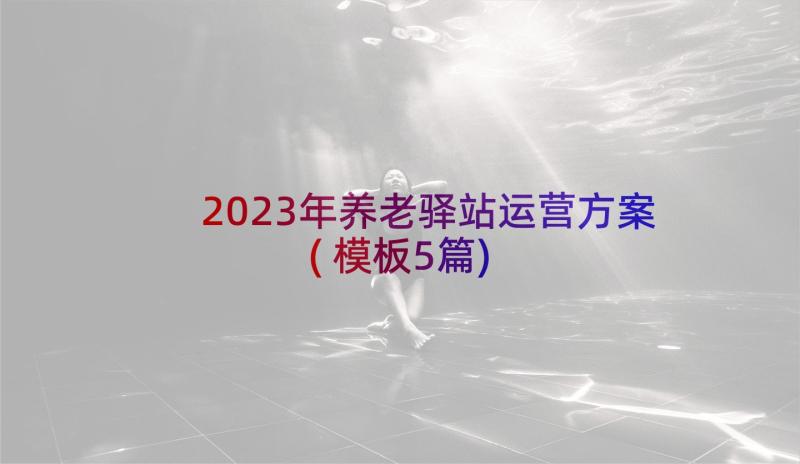 2023年养老驿站运营方案(模板5篇)