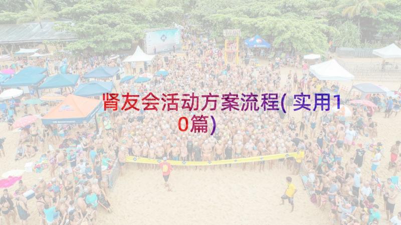 肾友会活动方案流程(实用10篇)