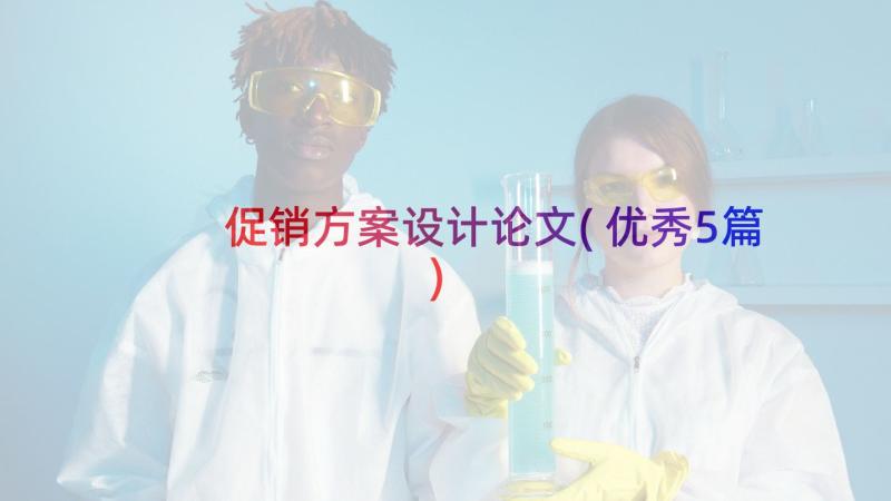 促销方案设计论文(优秀5篇)