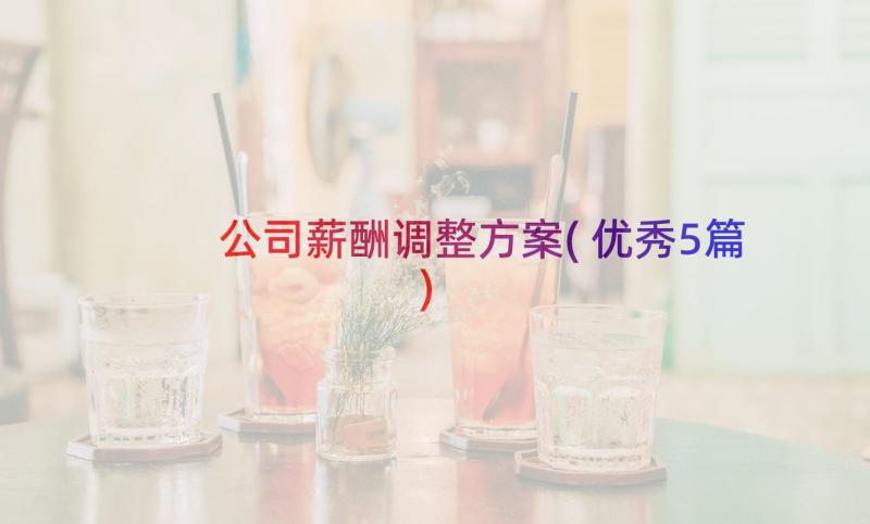 公司薪酬调整方案(优秀5篇)