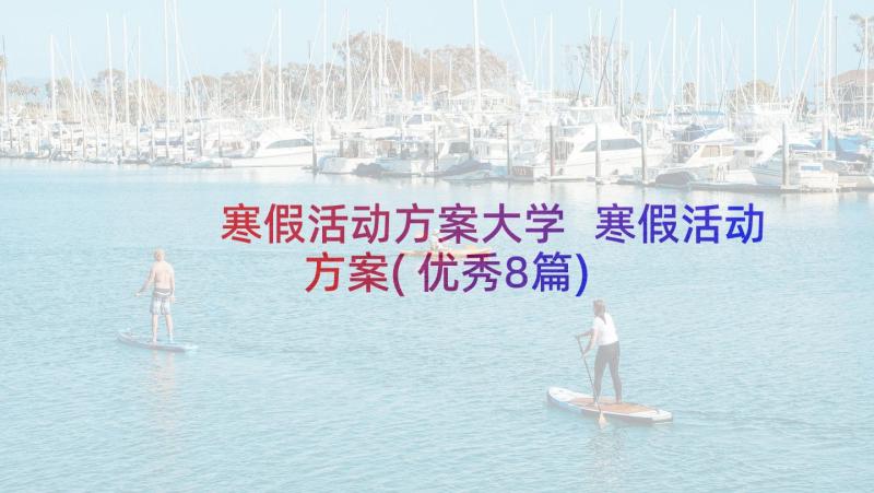 寒假活动方案大学 寒假活动方案(优秀8篇)