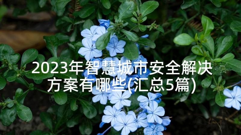 2023年智慧城市安全解决方案有哪些(汇总5篇)