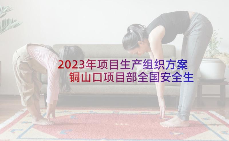 2023年项目生产组织方案 铜山口项目部全国安全生产月活动方案(汇总5篇)