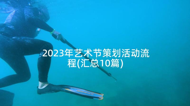 2023年艺术节策划活动流程(汇总10篇)