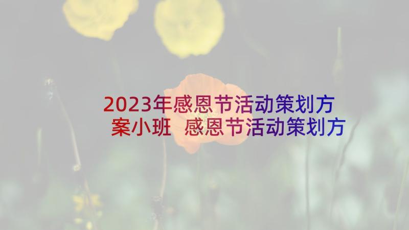 2023年感恩节活动策划方案小班 感恩节活动策划方案(大全8篇)