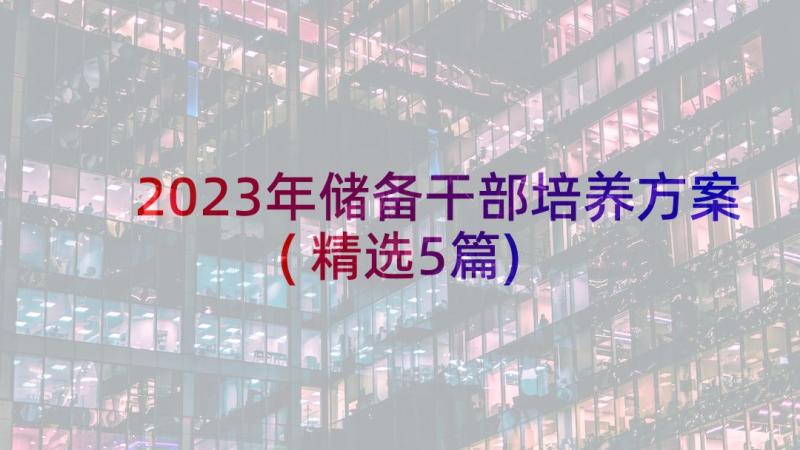 2023年储备干部培养方案(精选5篇)