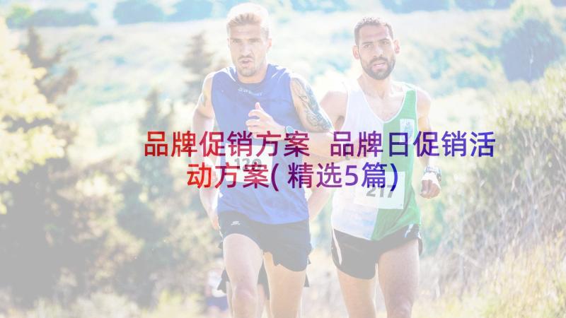 品牌促销方案 品牌日促销活动方案(精选5篇)