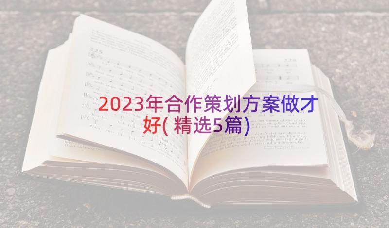 2023年合作策划方案做才好(精选5篇)