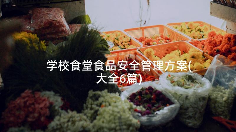 学校食堂食品安全管理方案(大全6篇)