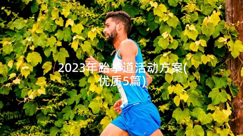 2023年跆拳道活动方案(优质5篇)
