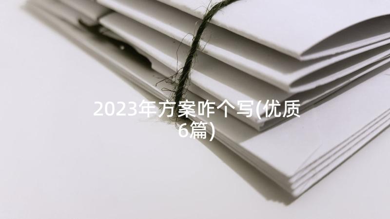 2023年方案咋个写(优质6篇)