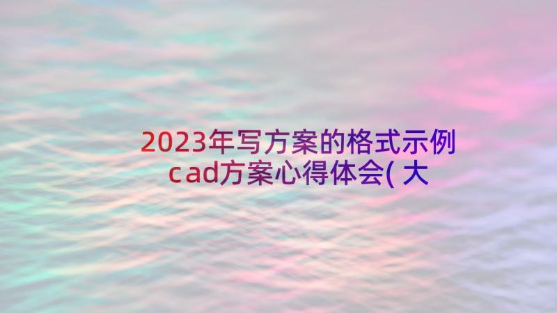 2023年写方案的格式示例 cad方案心得体会(大全8篇)