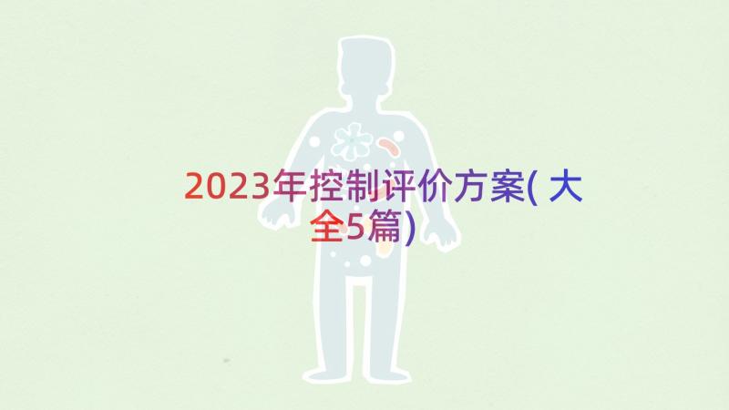 2023年控制评价方案(大全5篇)