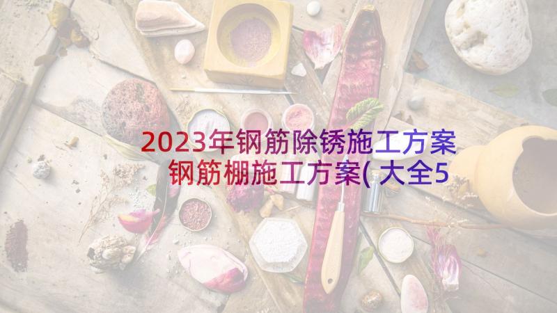 2023年钢筋除锈施工方案 钢筋棚施工方案(大全5篇)