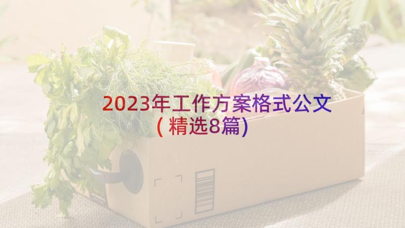 2023年工作方案格式公文(精选8篇)