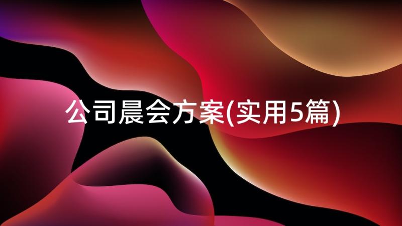 公司晨会方案(实用5篇)