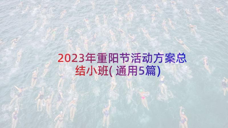 2023年重阳节活动方案总结小班(通用5篇)