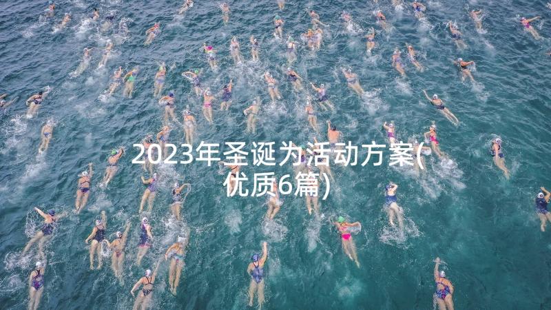 2023年圣诞为活动方案(优质6篇)