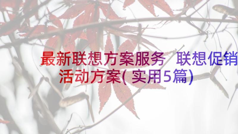 最新联想方案服务 联想促销活动方案(实用5篇)