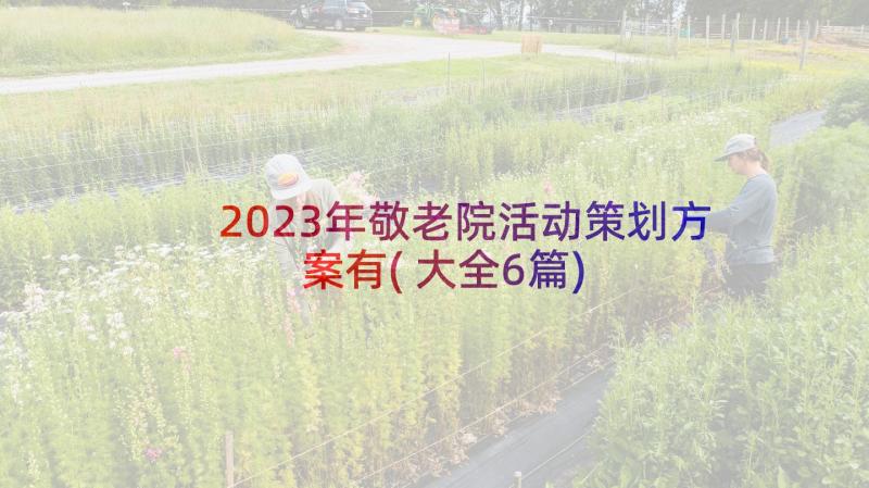 2023年敬老院活动策划方案有(大全6篇)