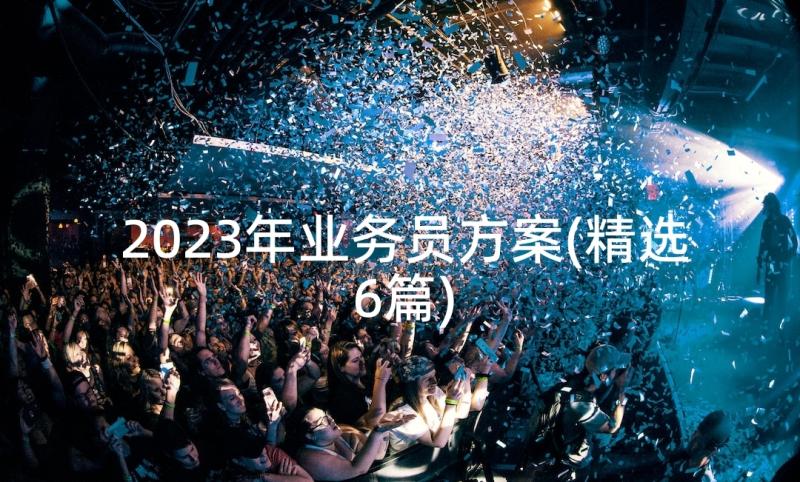 2023年业务员方案(精选6篇)