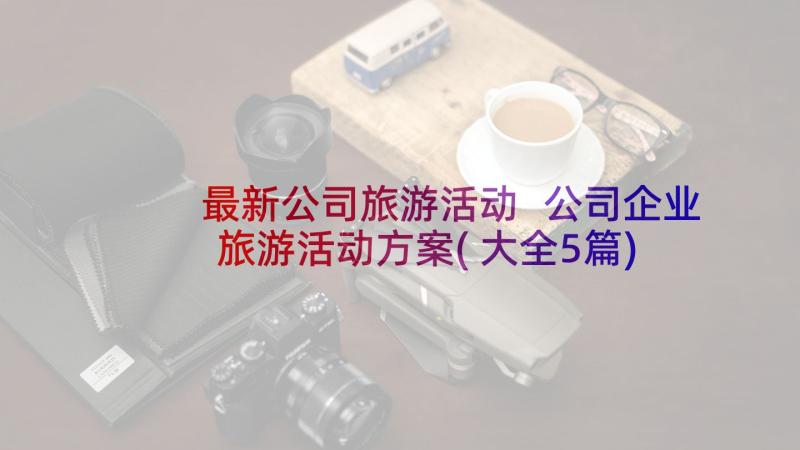 最新公司旅游活动 公司企业旅游活动方案(大全5篇)