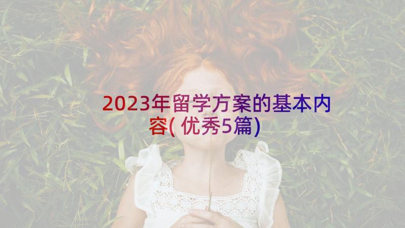 2023年留学方案的基本内容(优秀5篇)